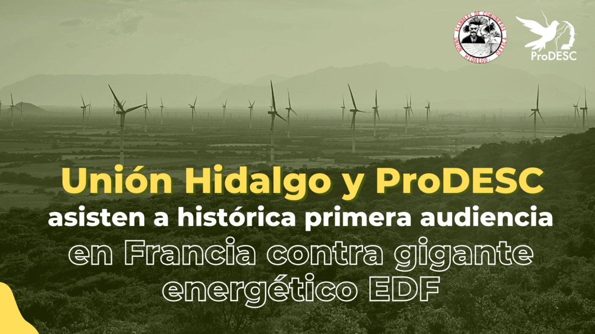 Unión Hidalgo y ProDESC audiencia demanda en Francia contra EDF