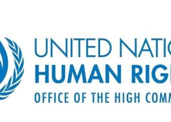 Alto Comisionado para los Derechos Humanos señala a EDF en cartas de alegación en caso Unión Hidalgo
