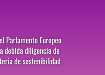 Votación en el Parlamento Europeo sobre la Directiva del Parlamento Europeo y del Consejo sobre diligencia debida de las empresas en materia de sostenibilidad (CSDD)